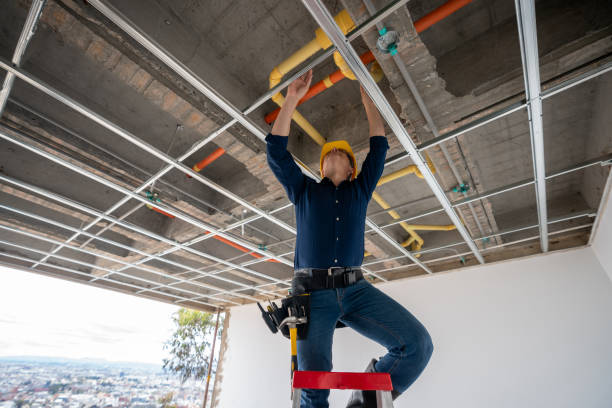 Best Clogged Drain Plumber  in Fort Dodge, IA
