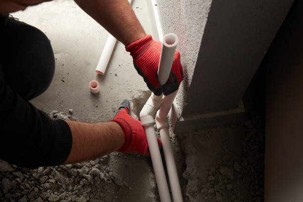 Best Commercial Plumbing Services  in Fort Dodge, IA